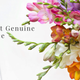 Illustration for article titled Wake Up and Smell The Sustainably Sourced Roses With The Bouqs
